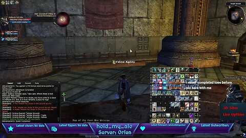 Lets Play Dungeons & Dragons Online - w/Hold_My_Ale