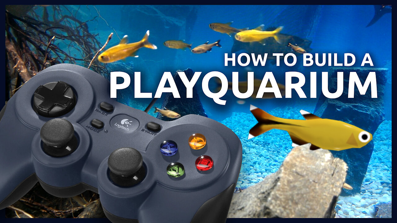 How to build an interactive Aquarium