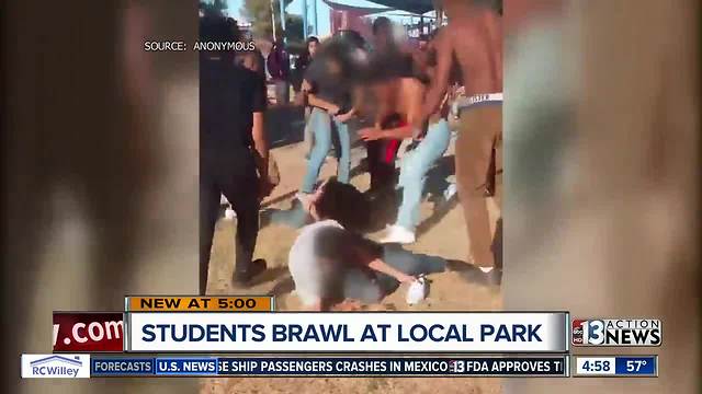 Video shows group of teens fighting in park