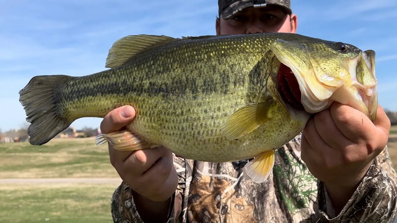 10 Pounds of Bass on 2 Casts! (INSANE)