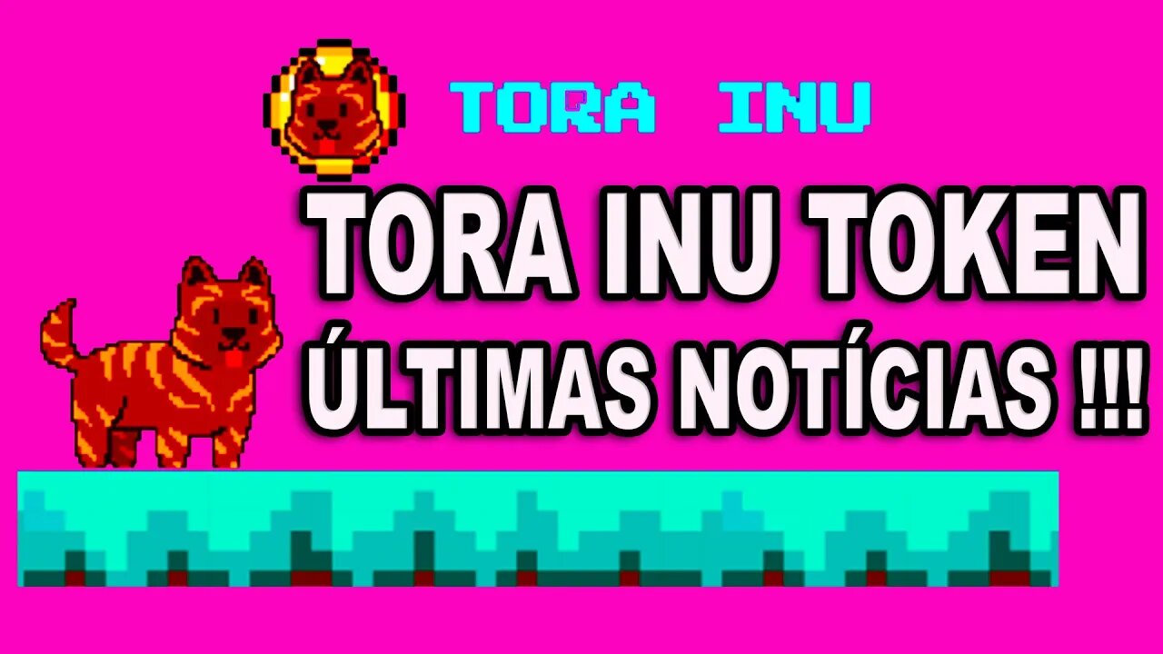 TORA INU TOKEN NOTÍCIAS ATUALIZADAS