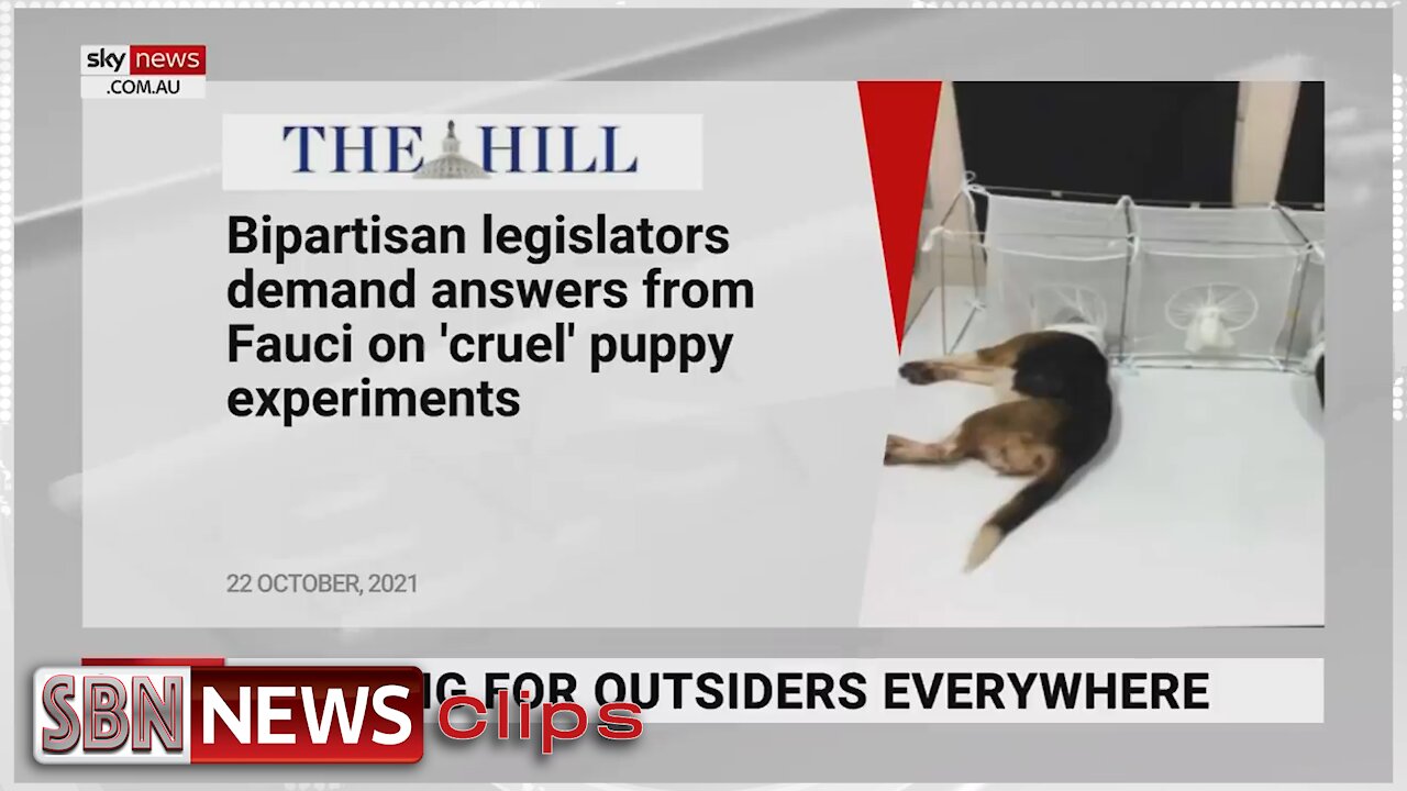 "Utterly Disgusting" Fauci Caught Up in CRUEL Experiments on Puppies - 4731