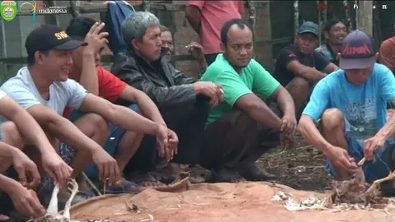 Cara Tradisional Memasak di Tempat Hajatan Dearah Batanghari Sembilan | Pernikahan di Desa