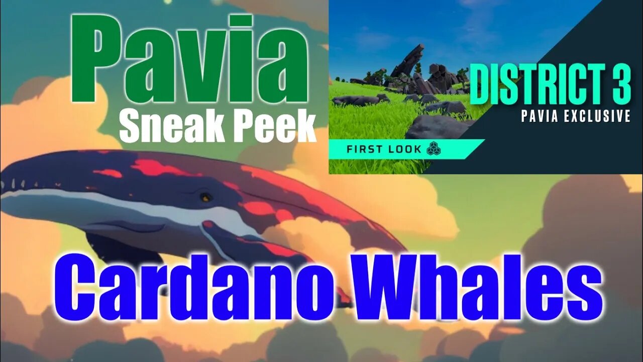 Cardano Whales And Pavia Metaverse Releases Sneak Peek Of District 3