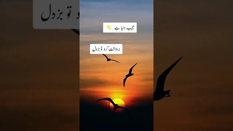 urdu sad poetry#shorts #status