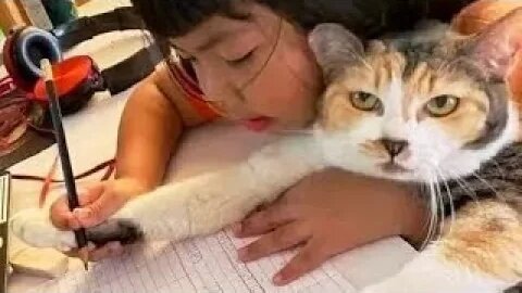 Best Funny Animal Videos 2023 - Funniest Cats And Dogs Video - Part - 37