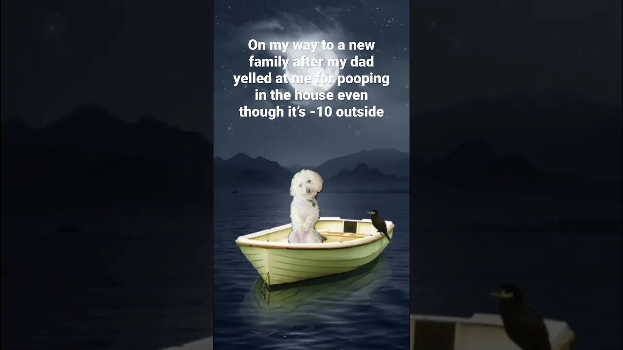 Iām Sorry Buddy š