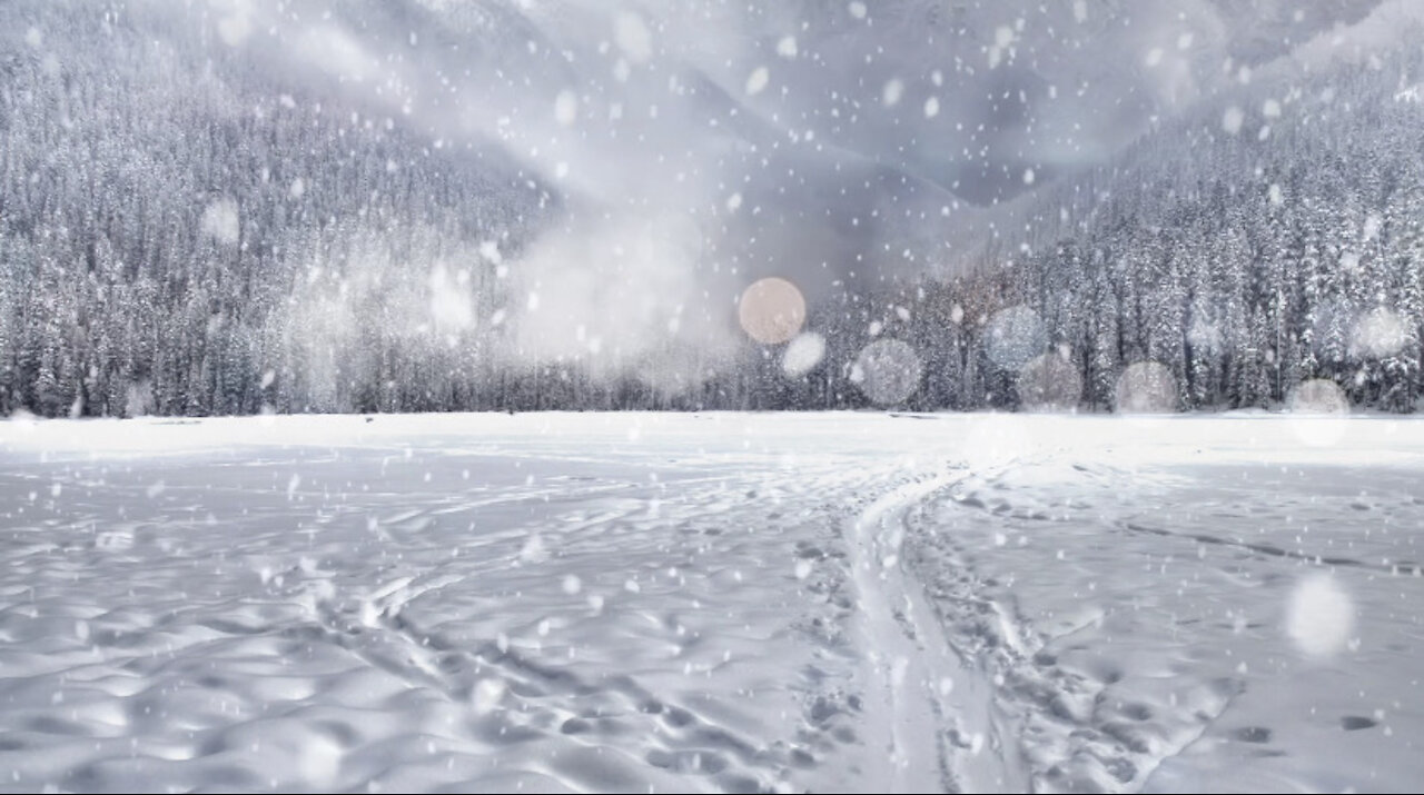 Blizzard Snowstorm & Arctic Howling Wind Sounds for Sleeping, Relaxing, Winter Ambience