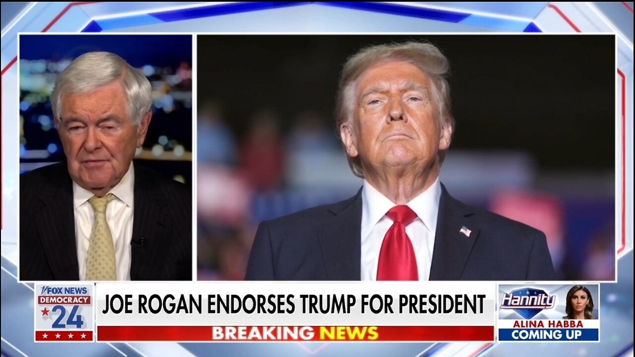 Newt Gingrich: This Is Not The Traditional Republican Party