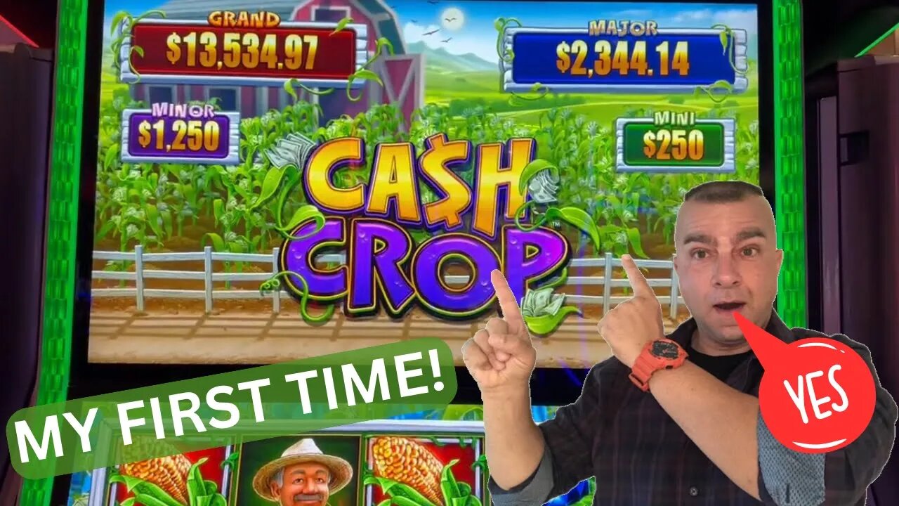 💥My First Time Playing Cash Crop - And I LIKE IT!💥 Foxwoods Casino