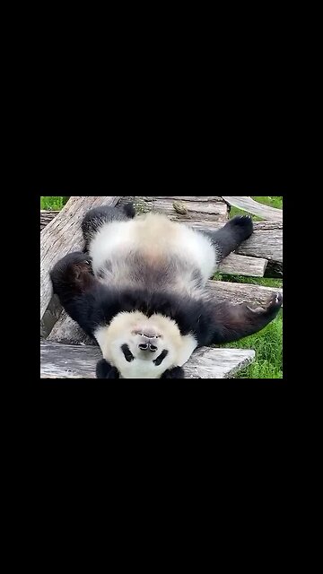 Attempts to tune into a working mood after the weekend were successfully failed