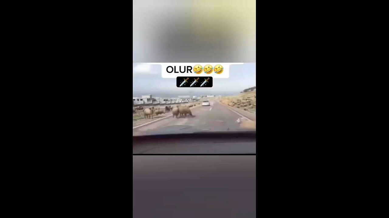 funny video