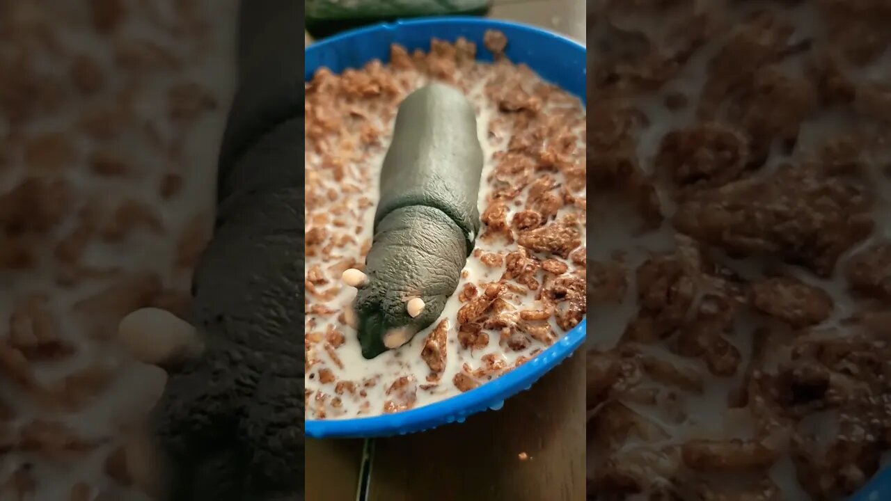 HELP!! THIS HAS GONE TOO FAR!!