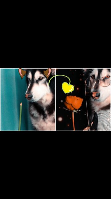 I have confessed to you a long time ago, in every look I look at you.