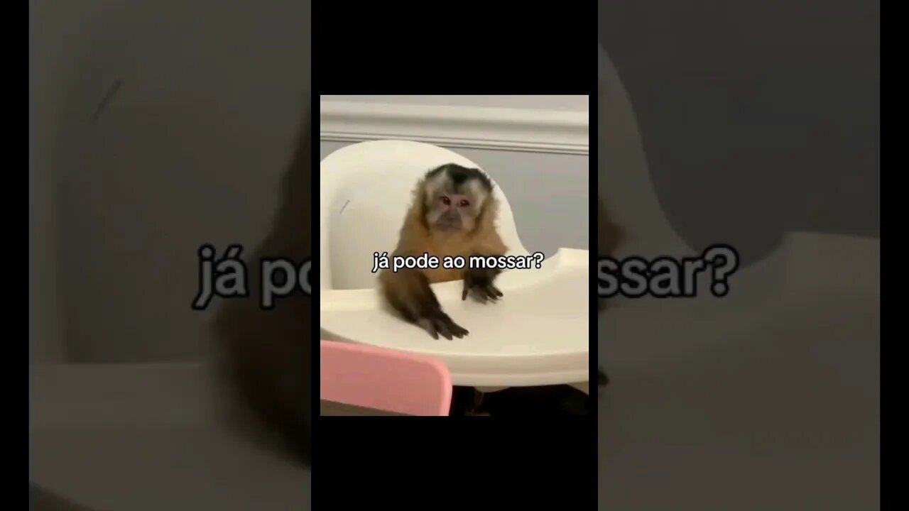 memes em imagens #186 já pode ao mossar? #shorts