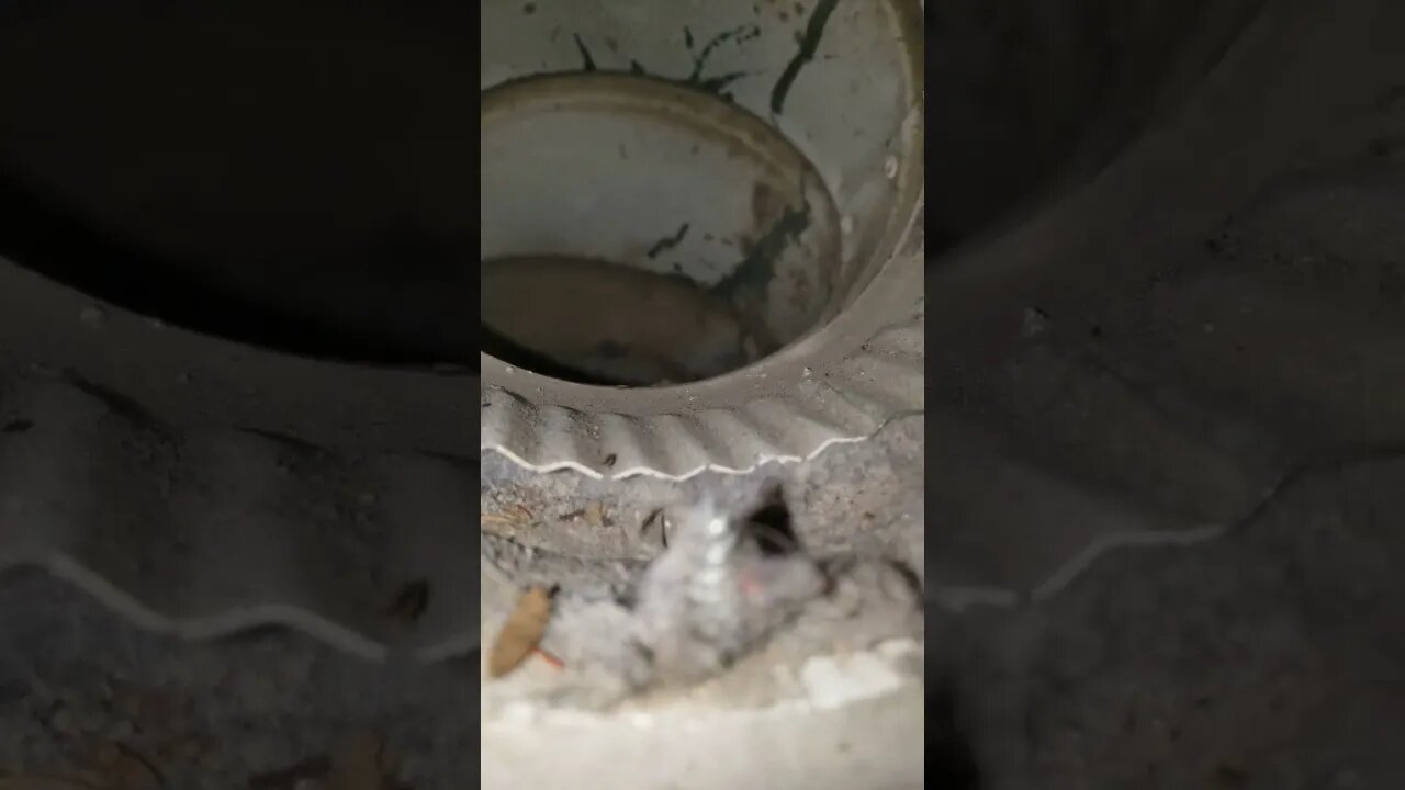 Screwing inside of a dryer vent can be a fire hazard