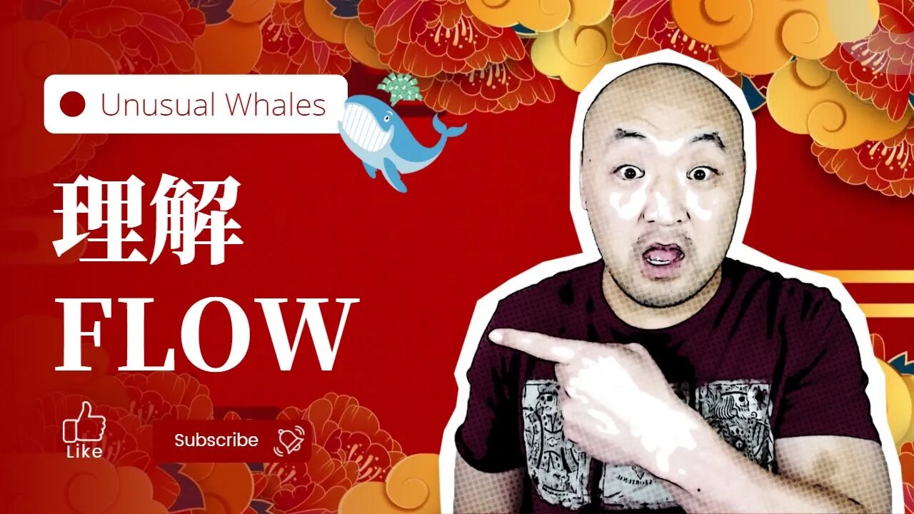 🌊如何解读Unusual Whales的订单流Flow? |快速看懂 Unusual Whales的Flow|期权交易流 | 期权flow