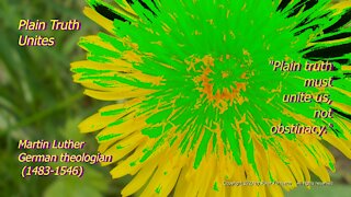 Plain Truth Unites