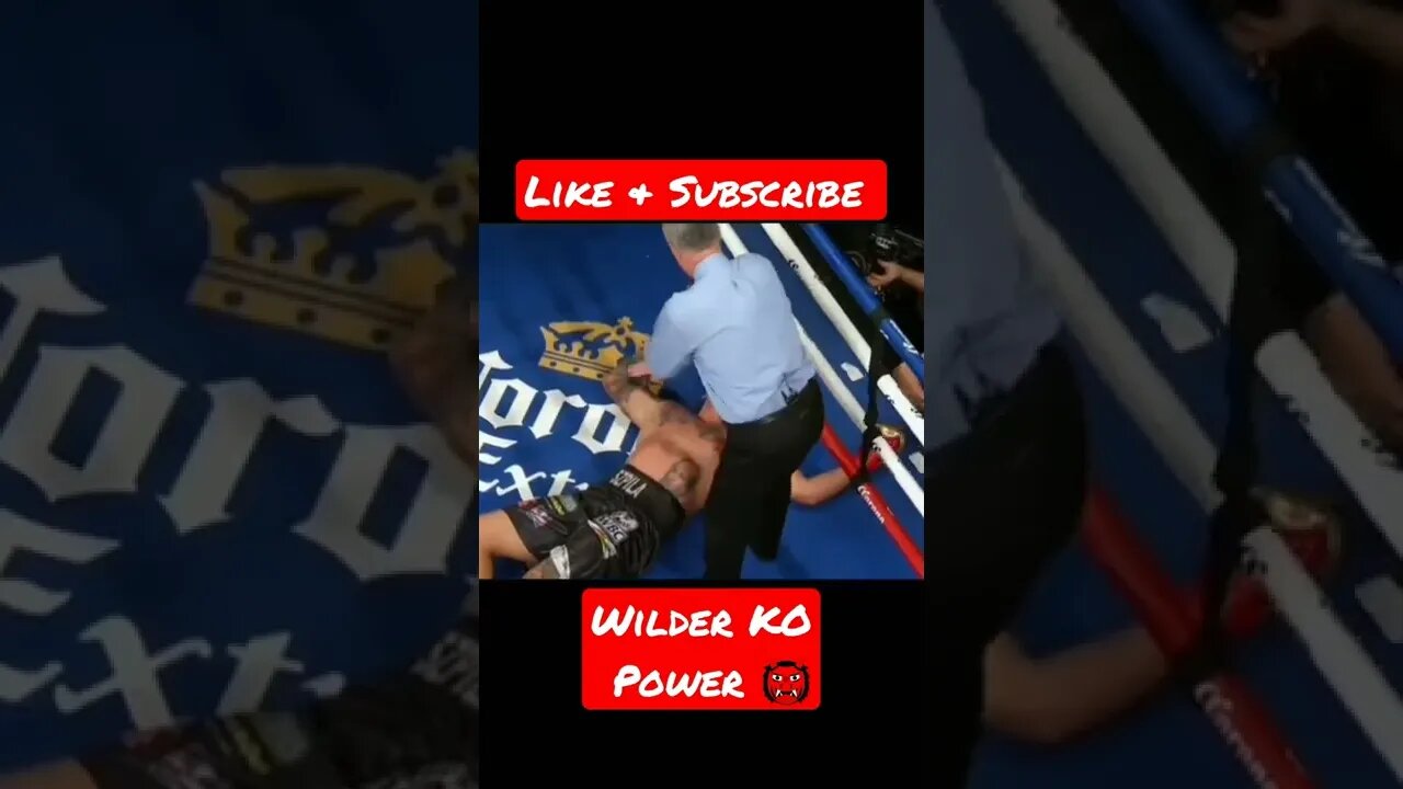 Deontay Wilder brutal knockouts #deontaywilder #knockouts #PBC #boxing