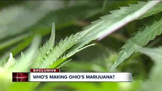 Who's making Ohio's marijuana