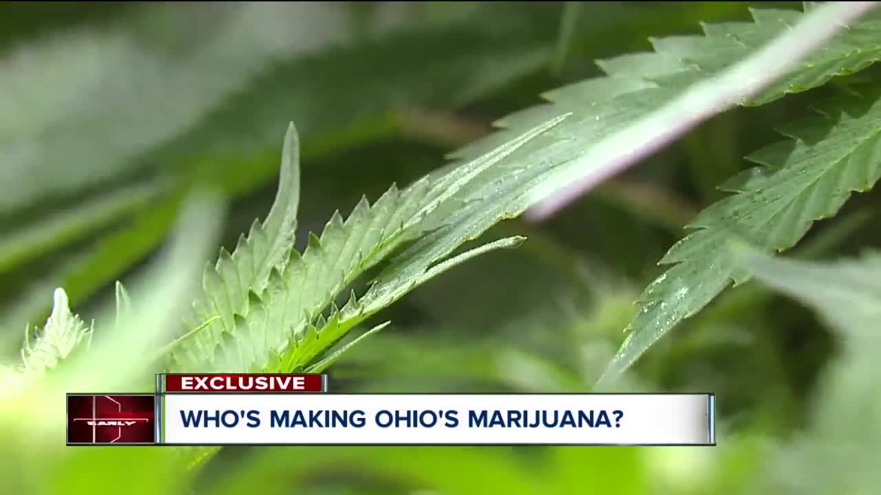 Who's making Ohio's marijuana