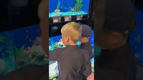 Taking a bunch of kids to the Pet Store