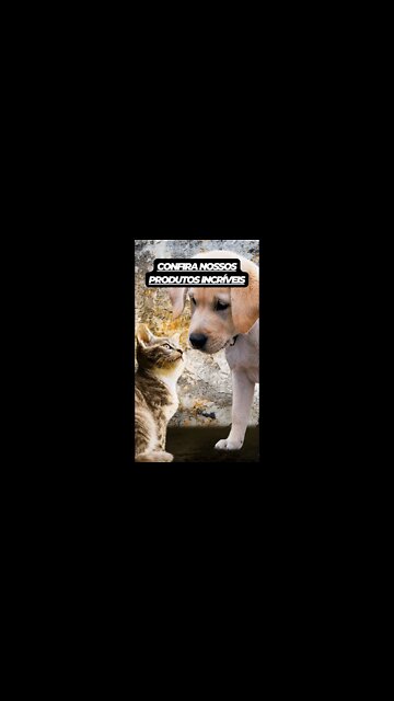 Compartilhe esse post pra chegar em mais pessoas 🤩