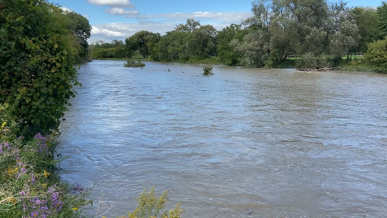 Humber River James Gardens Toronto water surge