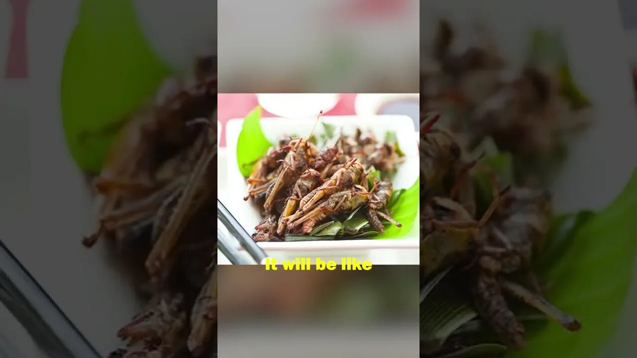 The Government wants us Eating BUGS! #Shorts