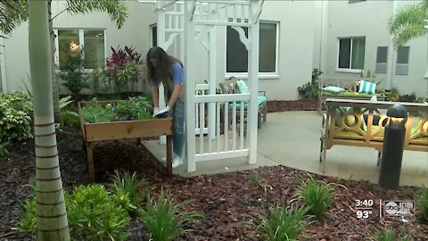 Tampa teen helping seniors by creating gardens for grandparents