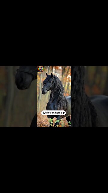 Unlocking the Enigma Top 10 Hidden Wonders You Need to See to Believe #HiddenWonder #EASZTechLibrary