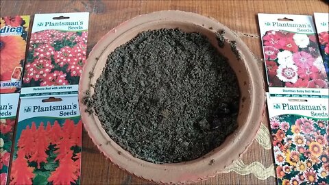 How To Grow Flower Seeds Fast (With Update)