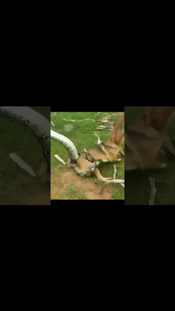 These Kids 👏👏👏