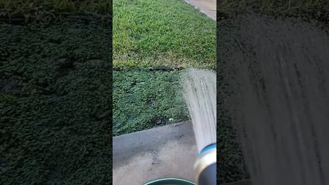 growing that stuff