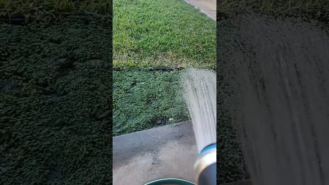 growing that stuff