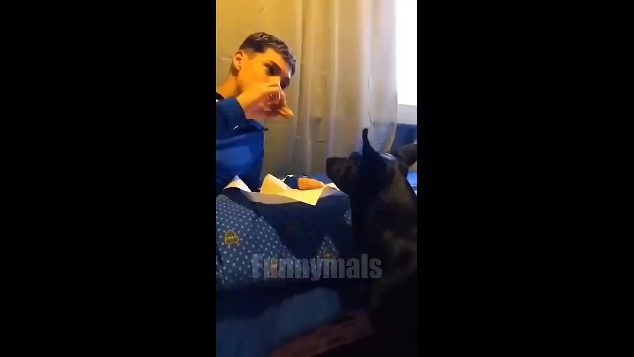 must watch funny video 📷