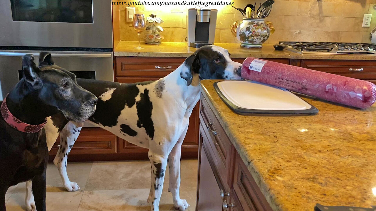 Polite Great Danes Check Out Restaurant Depot Ground Beef Roll
