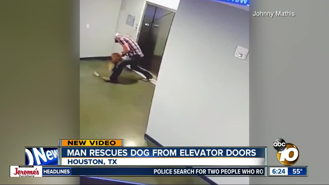 Man rescues dog as leash gets caught on elevator