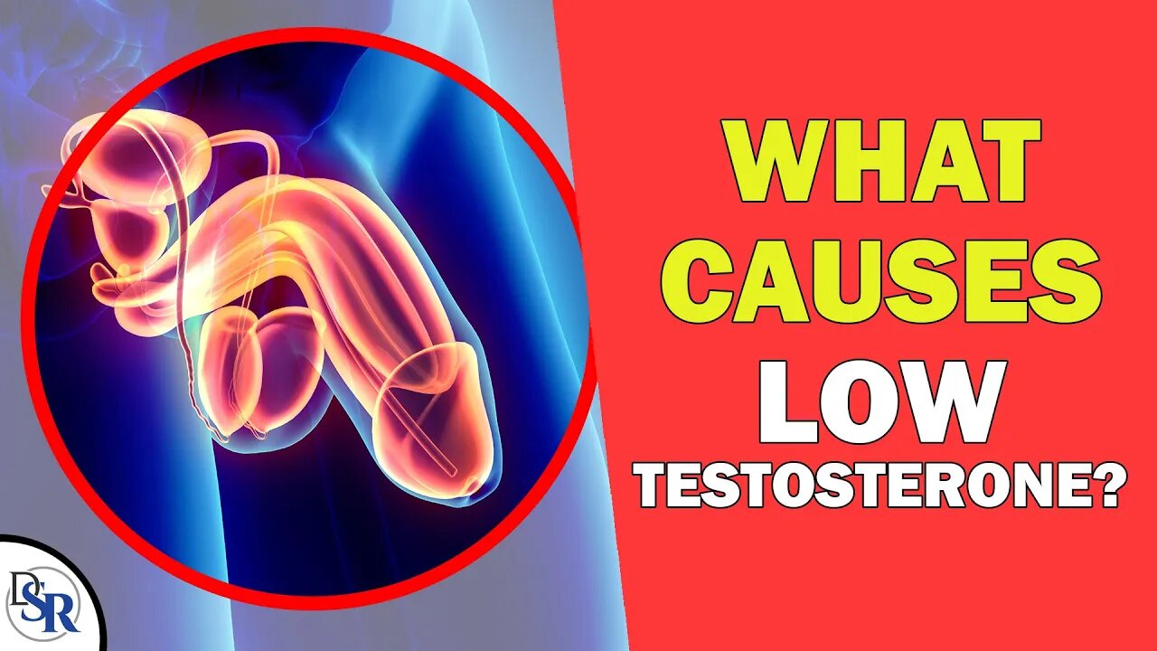 QA: What Causes 𝗟𝗼𝘄 "𝗙𝗿𝗲𝗲 𝗧𝗲𝘀𝘁𝗼𝘀𝘁𝗲𝗿𝗼𝗻𝗲" & High SHBG