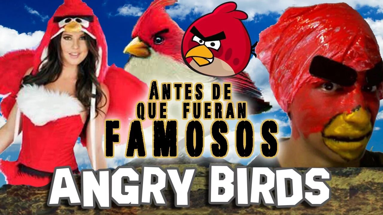 ANGRY BIRDS - Antes De Que Fueran Famosos