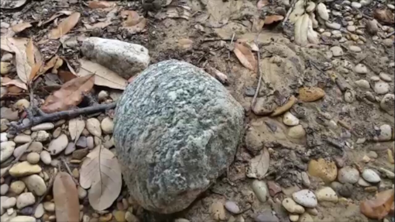 Kicking a Rock into a Storm Drain