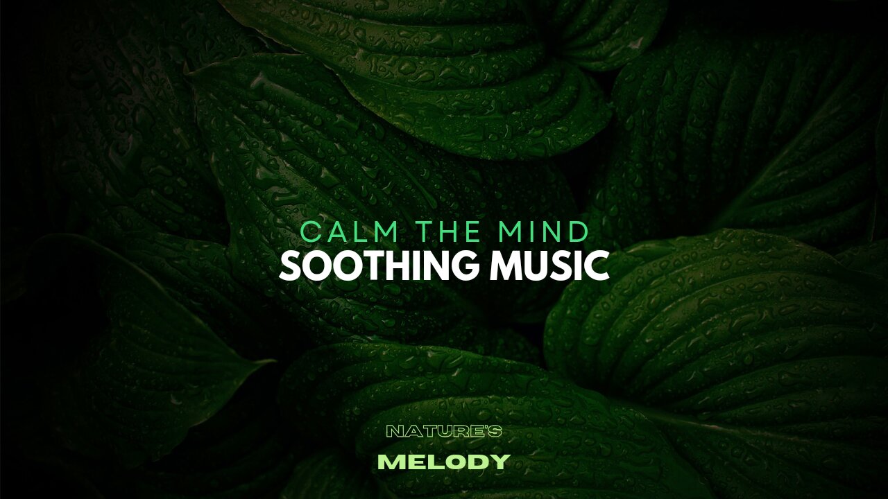 "Melodic Bliss: Finding Inner Peace Through Soothing Music".Relaxing music