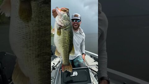 Giant Texas Largemouth Bass #shorts