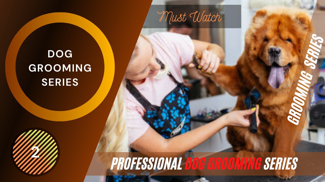 DOG GROOMING:2