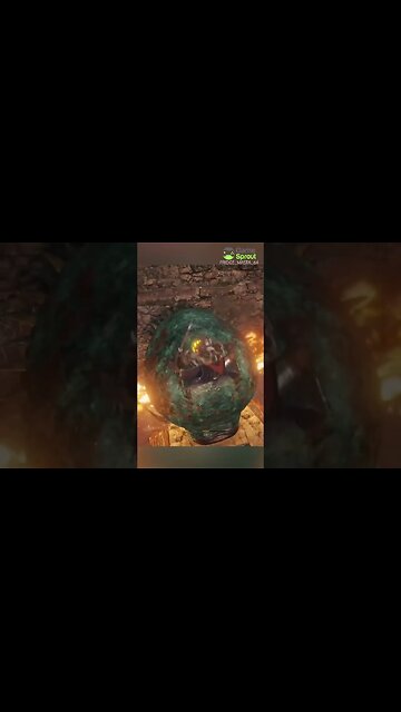 It’s true… they don’t.