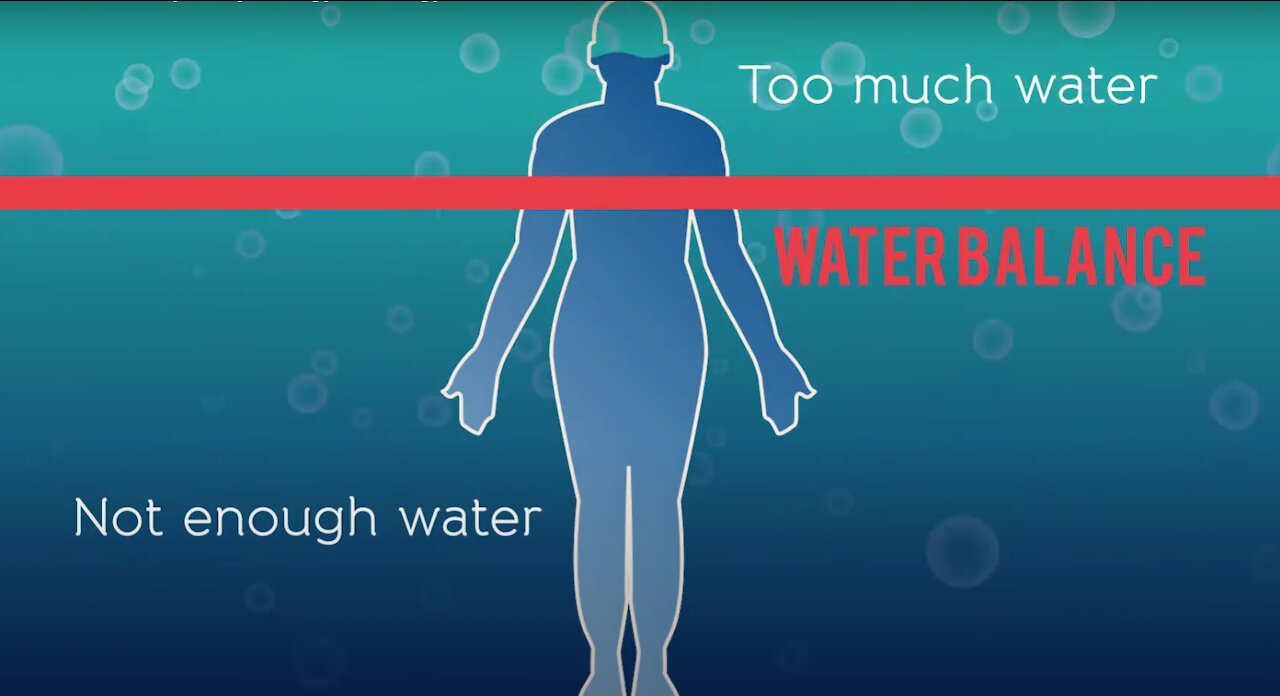 Human Body | Water Balance Explained