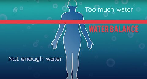 Human Body | Water Balance Explained