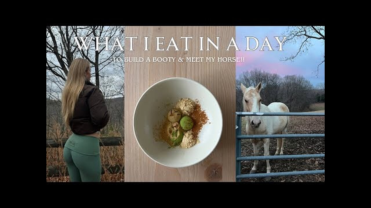 VLOG| What I eat in a day, counting macros & meet my horse!