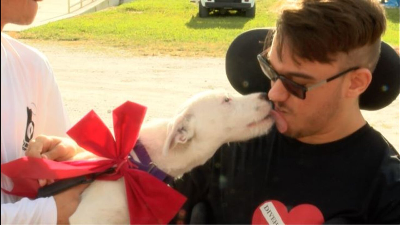 Young man meets new service dog