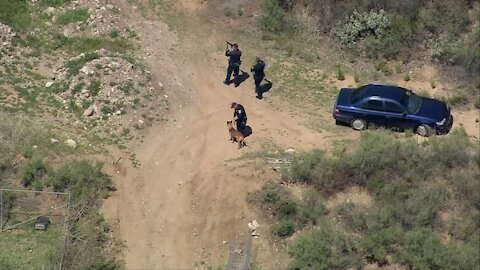 Police Chase Ends with K9 Bite